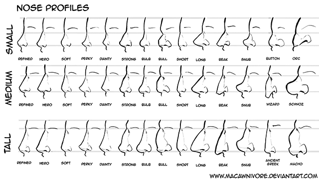 nose_chart_by_macawnivore-640x361