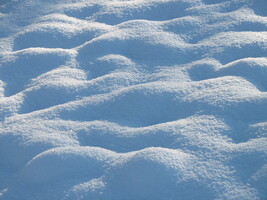 ../_images/Field-with-snow-champ-enneige.jpg