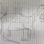 ugly dinosaur drawing