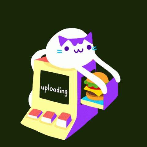 Cat on a computer uploading a hamburger